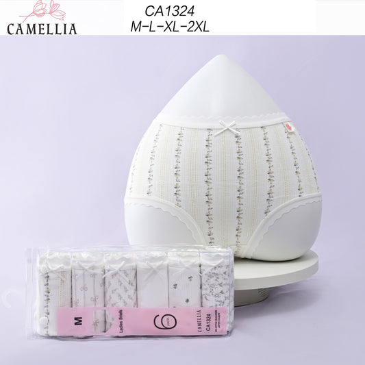 Ca-1324-6