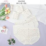 Ca-1316-6