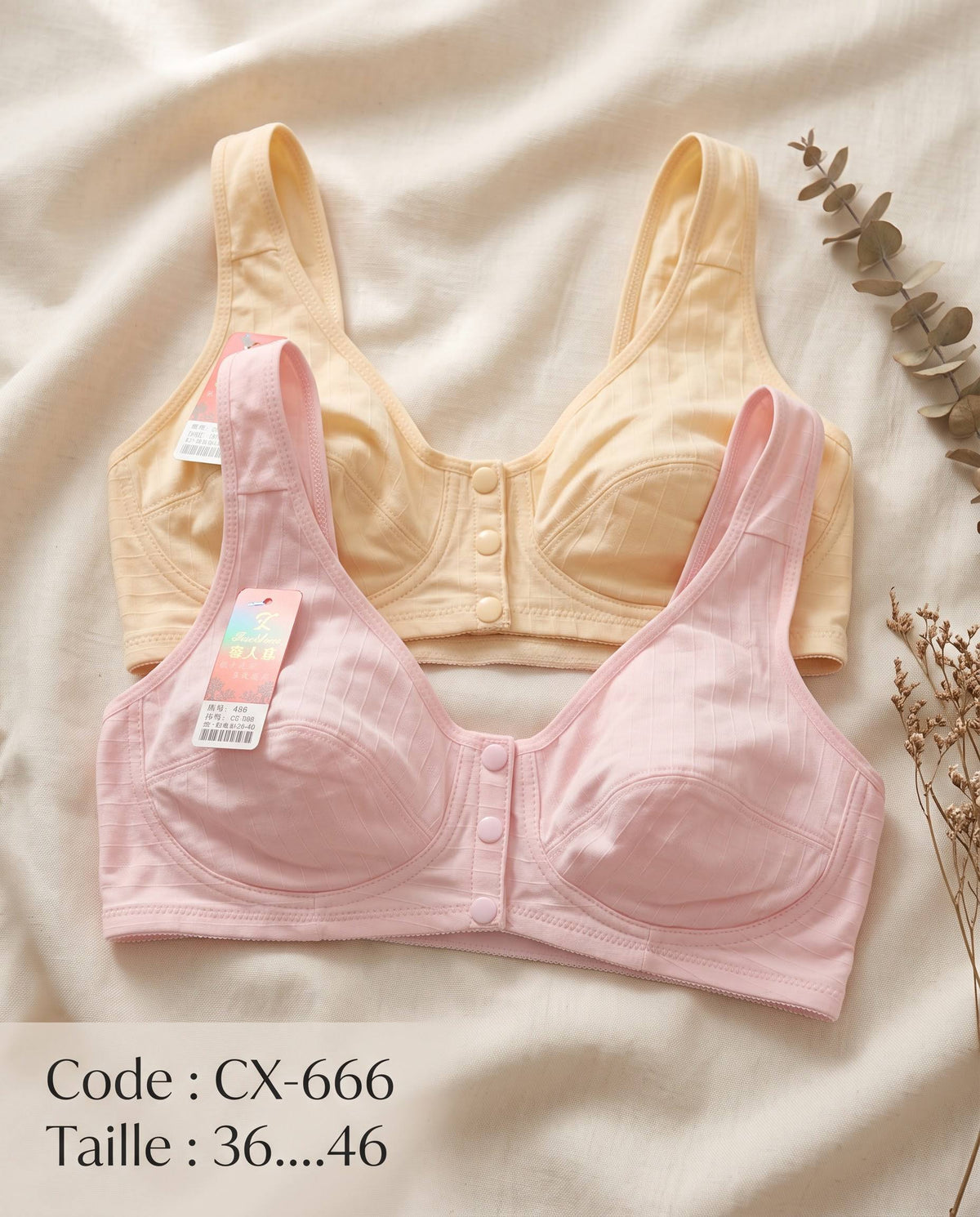 Cx-666
