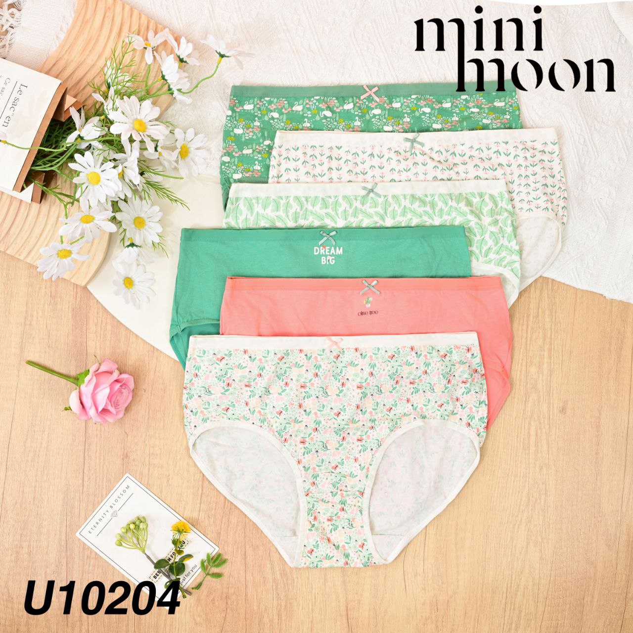 U10204-6